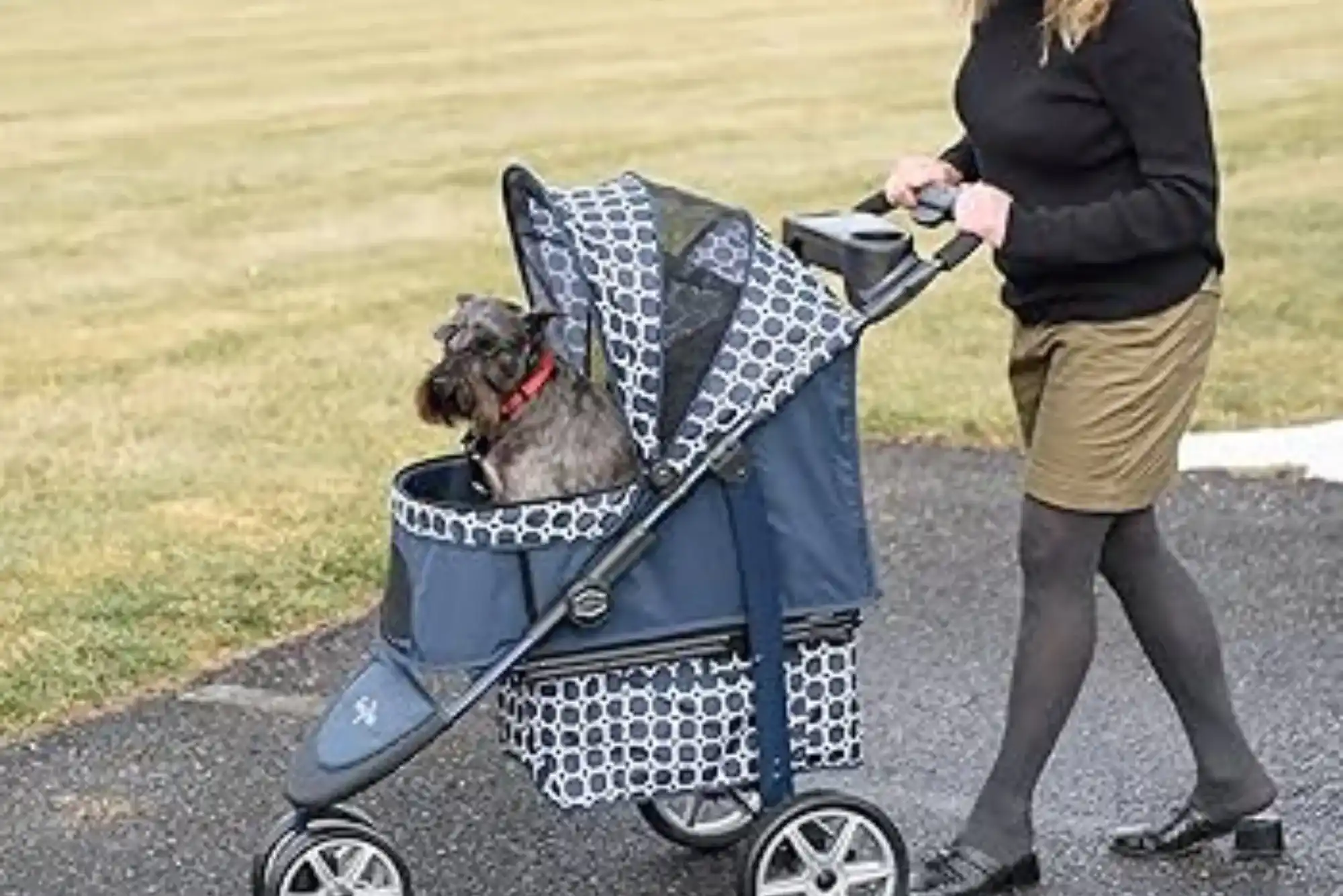 Gen7 Monaco Premium Dog Stroller Price