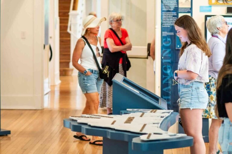 Ace Wayland Home And Design: Key Facts and Advice