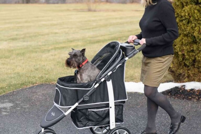 Gen7 Monaco Premium Dog Stroller Price — What You Need to Know