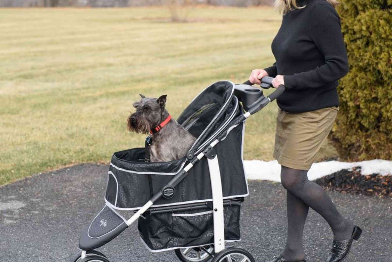 Gen7 Monaco Premium Dog Stroller Price — What You Need to Know