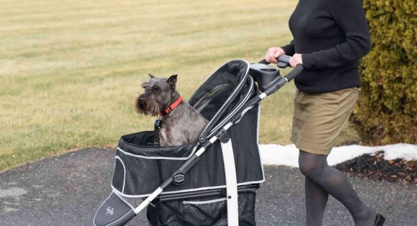 Gen7 Monaco Premium Dog Stroller Price — What You Need to Know
