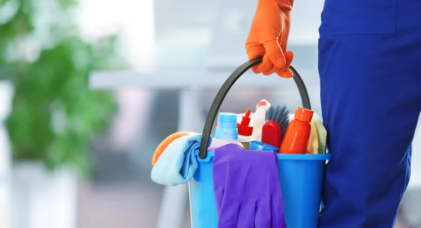 Maid Cleaning Services in the UAE