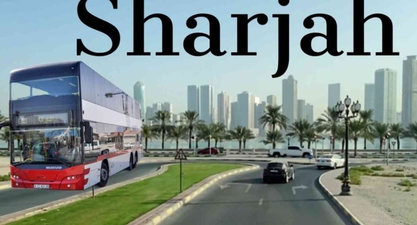 Sharjah King Faisl Rd Jumbo Sony 2 Key Facts and Advice