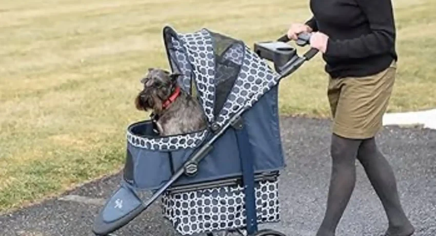 Gen7 Monaco Premium Dog Stroller Price